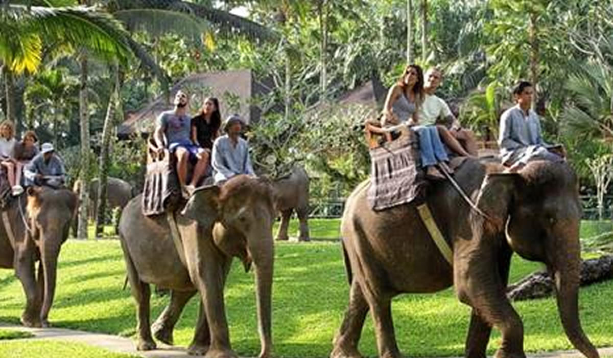 White Water Rafting - Elephant Ride - Tanah Lot (Bali Adventure Packages) 